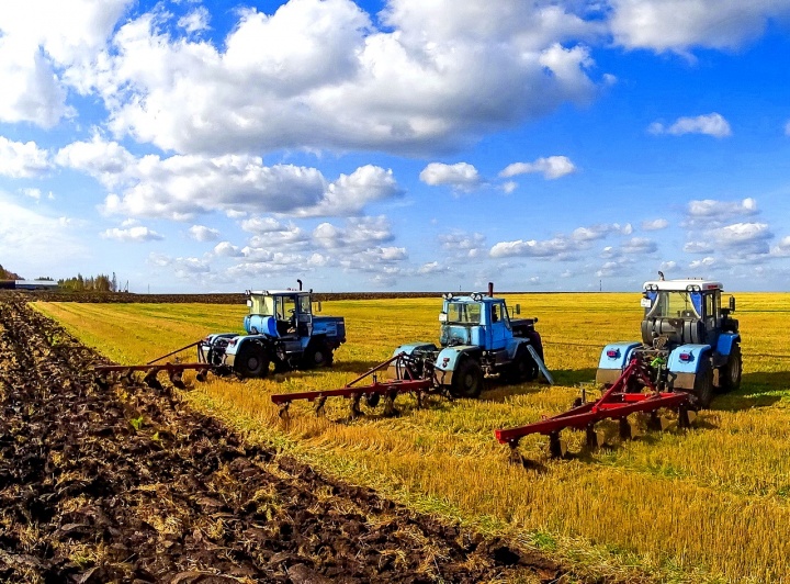 Свыше 25 тысяч гектаров полей КЧР засеют озимыми зерновыми